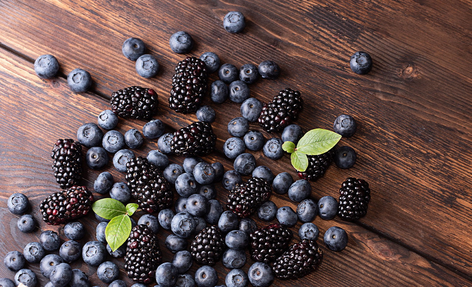 Barisan Pengeluaran Pemprosesan Puree Berry